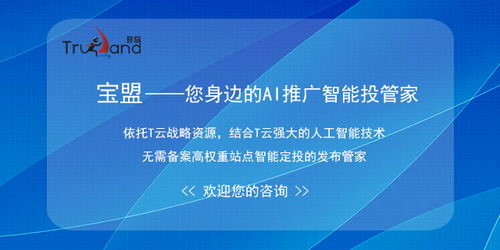 網站排名優化方案