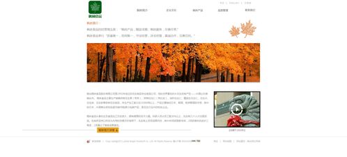 煙臺楓林食品食品 酒水 農資 煙臺網絡公司 煙臺網站建設 煙臺網頁設計 山東網億網絡公司官網