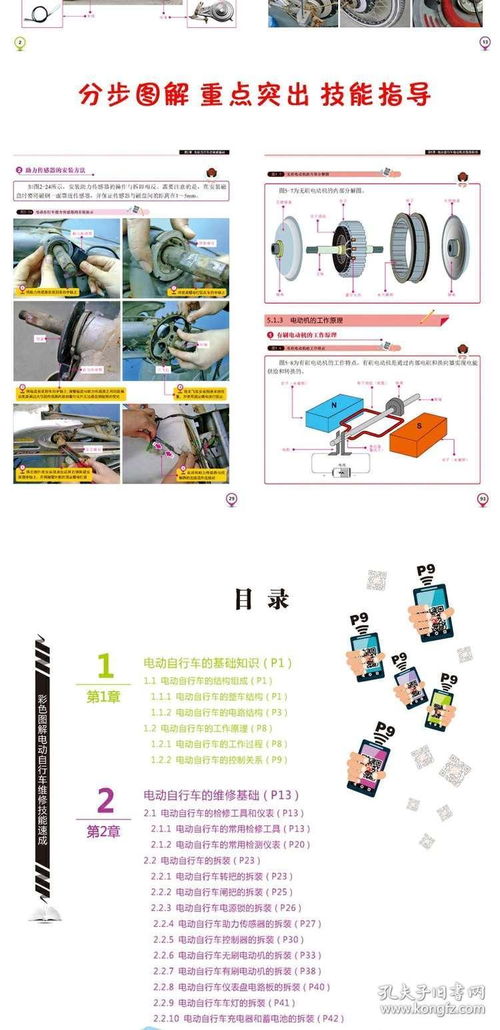 電瓶車(chē)電動(dòng)充電器維修教程書(shū) 彩色圖解電動(dòng)自行車(chē)維修技能速成 電子產(chǎn)品維修技能速成叢書(shū) 電動(dòng)自行車(chē)維修技能